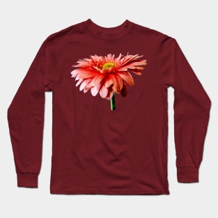 Pink Gerbera Daisy Side View Long Sleeve T-Shirt